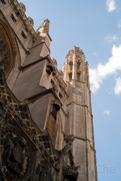 Ed -L1006788.jpg